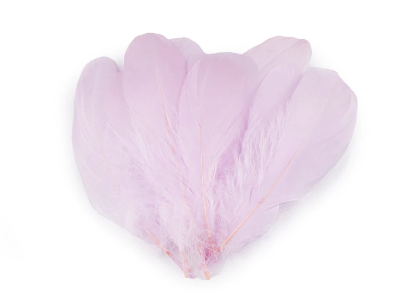 Plumes d'oie (14 - 18 cm) - lilas clair