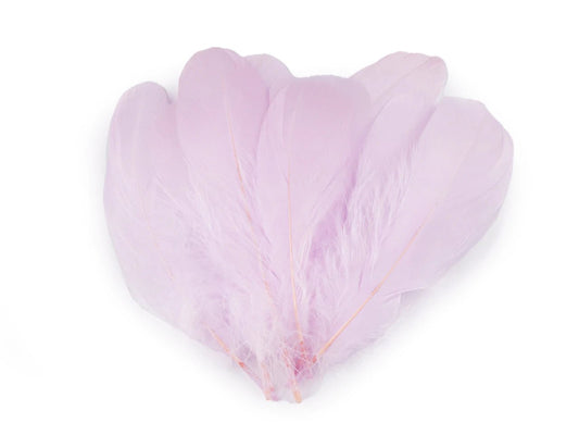 Plumes d'oie (14 - 18 cm) - lilas clair