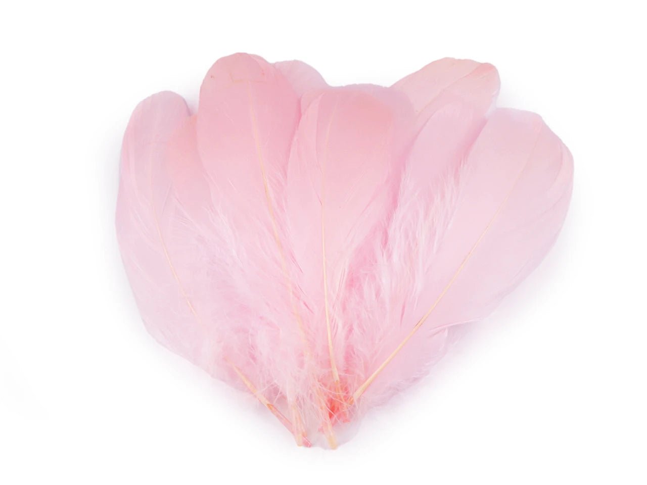 Spalvas zosu (14 - 18 cm) - soft pink