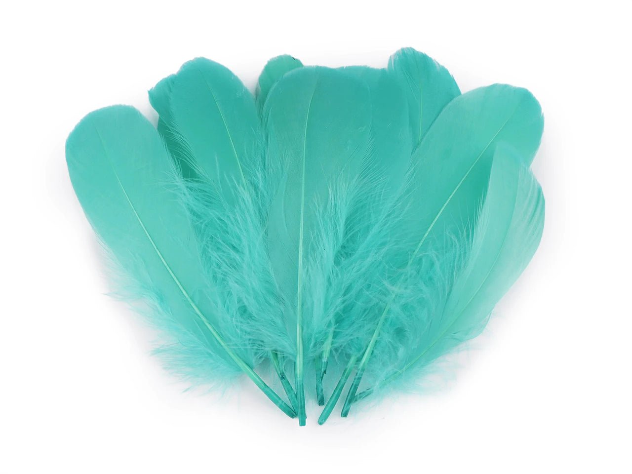 Plumes d’oie (14 - 18 cm) - turquoise