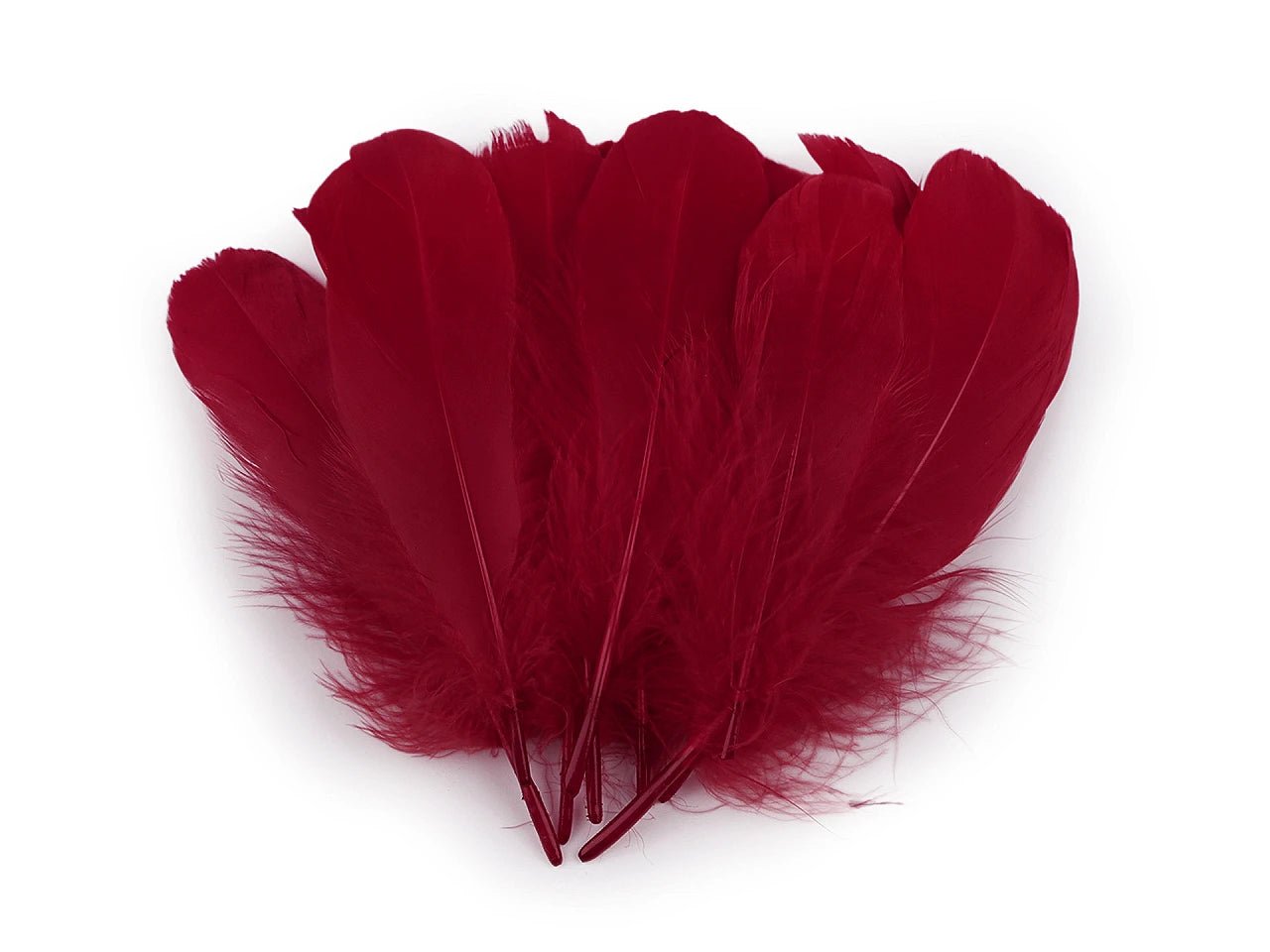 Goose feathers (14 - 18 cm) - dark red