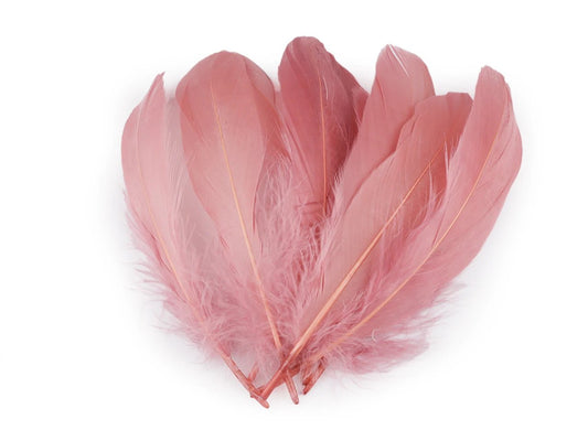 alt
Plumes d’oie (14 - 18 cm) - vieux rose