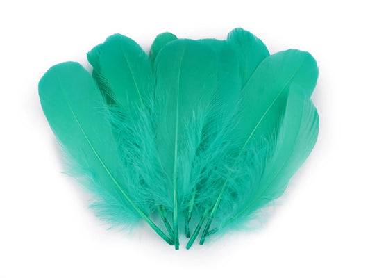 Plumes d'oie (14 - 18 cm) - verdâtres