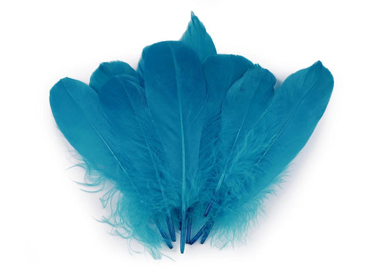 Plumes d'oie (14 - 18 cm) - bleu turquoise