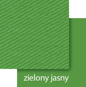 Fabric color for washing machine - light green