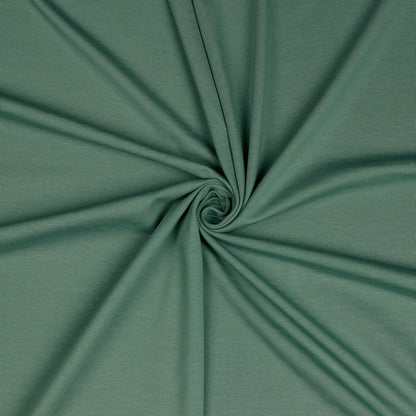 Feiner Baumwolljersey in dunklem Mint 215 g/m²